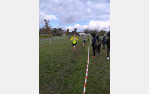 CROSS DE CASTELNAUDARY 2024