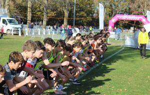 ¼ FINALES CHAMPIONNATS DE FRANCE DE CROSS-COUNTRY