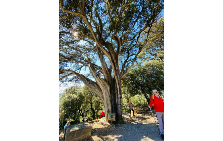 MARCHE NORDIQUE : 04/04/2023