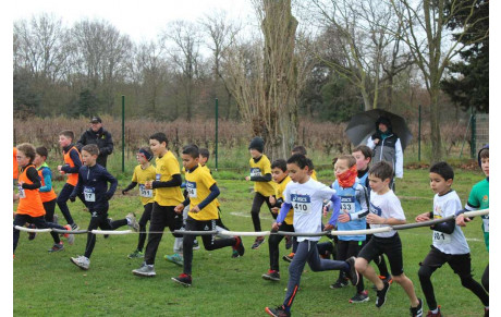 45ème CROSS DE LA CITÉ