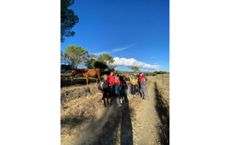 MARCHE NORDIQUE 07/11/2023