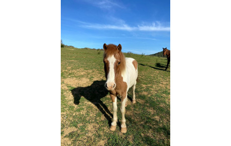 MARCHE NORDIQUE 04/04/2024