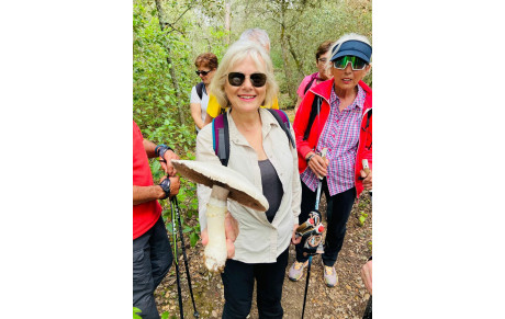 MARCHE NORDIQUE 27/05/2024